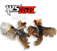 ws168 SEGA4D